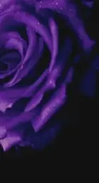 855d37e6-8059-4e7f-937c-1bb4b816e0eb