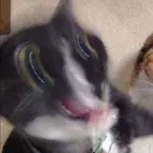 b6559f3f-5e8b-47ef-a314-938d359b4cac