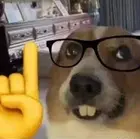 04e64698-1111-4c0a-bc76-34838d0b8f01