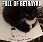 6de6ff43-dbfb-4d8b-8500-206cdcc5dc46