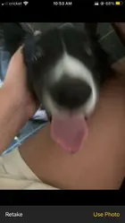 741063c6-4306-4ecf-bbbb-c0e9373b581e