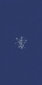 d6fb6f06-7b8a-4914-86ec-cc10fddb10e3