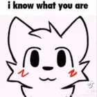 c547580f-9ad2-4242-9b42-f1d48b000924