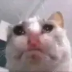 3934a867-4d58-4d33-9cb6-157dfb906813