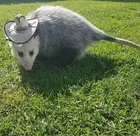 3a505c33-ee1e-4403-9b9f-16c51f50cc7b