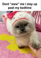 6099f36b-2e99-44c5-ab8f-faf39941aa64