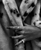 53b12992-c8bd-486b-a16e-fcf8e30a7926