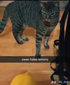 bdcad3b9-6bdb-4ed1-aa28-e30855edca07