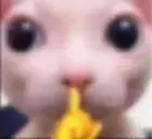 542c2b64-f74e-49b3-b7cd-7cde25d45e02