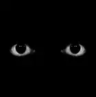 67593342-972b-4934-8ff4-541a353e1129