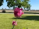 d59f091c-3690-49ad-a92f-50fc19488dc7