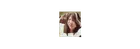 aa7e0ef4-56f2-4b16-8323-88cf418e0e21