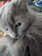 fc92e248-9cb7-4d6b-9c7b-3df0f879a21f