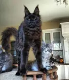 d9e31aba-3ba9-41e7-960b-a72e4b6eed26