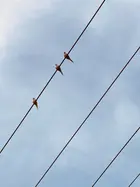 42441710-bb7e-49cb-8dc1-569f4f8f95c5