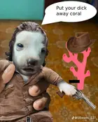 9b64e31b-2f27-4e66-93ad-9006ca04e214