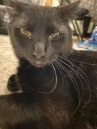 ff0ee3c0-abc4-4c54-933a-abdaf71e5b93