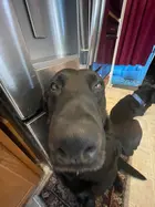 55c0b10c-452d-44d4-b8f1-3d741fa11ef4