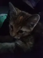 7b3c9482-ae04-4696-8726-4e677efaaf1d