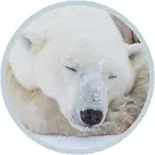 2b83d9c5-4e2a-4f4d-82a4-ef8235f7b897