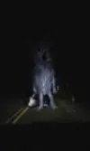 04282618-29ca-4302-a833-4ed33af05964