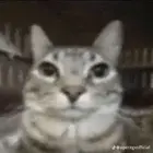 3447488a-c5a9-415a-ad43-2b6c5cd6415f