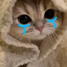 438e5592-b55c-44e6-97ce-478dc6bd5e6d