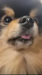 a9730bf6-5da3-447d-9308-eb178698d66d