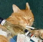 5a33f450-a4ca-447f-ad1b-506bde814ca7