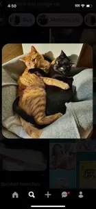 23959006-6371-4af1-9ca4-4ca5a4715eb2