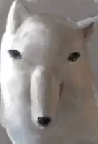 82c9a0cd-d022-45f5-a85d-38fbe0dc09aa