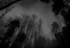 2d90b50d-99a3-49d7-88a0-5dcff86d59b8