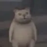 mur-