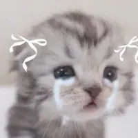 DaikiYui