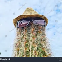 mralexy