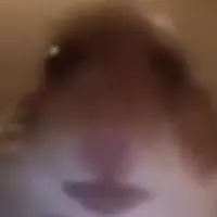 thememeagent