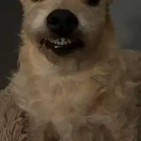 Alex_477462