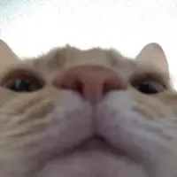 Randomone_236