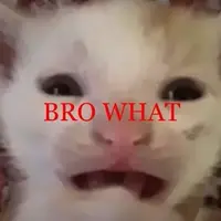 screamsandexplodes