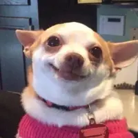 HakuUuuuUUUU