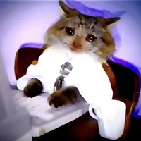 Cat_Has_Keyboard