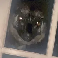 sleepy_industry_3449