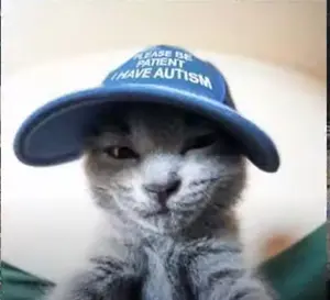 a113725a-ffd7-48c9-9518-b934f86efa08