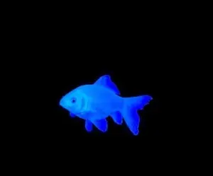 d2243b9f-6ad2-439b-ae17-93e9f9474b00