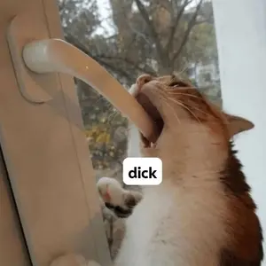 d261f802-2710-4540-aee9-e6054517782f