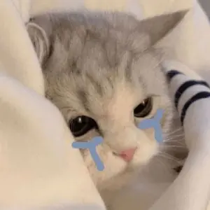 4da7e4f6-a3ad-4a78-9d9c-792ab4bf3dd3