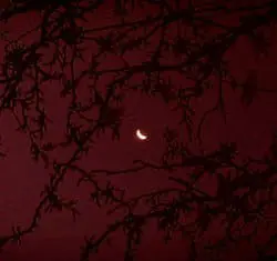 0564cca4-ea35-4806-89ea-866cf6feedc1