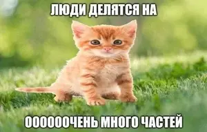 9ef36a2e-5c3b-43d4-8d4e-7832329458a2
