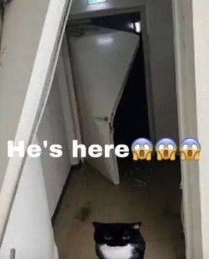 72ddb3c2-b331-4898-9aad-fb08d513012d