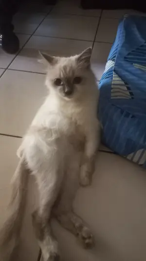 cbf787a2-5836-4b67-9d2c-6295b2f6a944